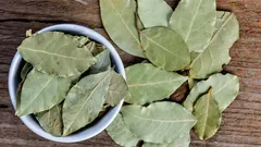 Miksi laakerinlehti laitetaan ruukkuun huonekasvien kanssa?