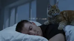 Tiedätkö, mitä kissasi tekee yöllä, kun kaikki nukkuvat?