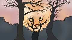 Mitä näet tässä kuvassa? Psykologinen testi, joka paljastaa, miten hahmotat maailman.