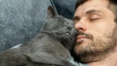 Näin kissa osoittaa rakkauttaan: Jos se tekee tämän, olet sille kaikkein rakkain ihminen