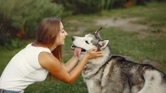 Miten puhua koirallesi niin, että se oikeasti ymmärtää sinua