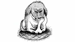 Näetkö koiran omistajan 12 sekunnissa? Testaa tarkkaavaisuutesi optisella illuusiolla