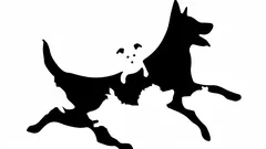 Kuvassa näkemiesi koirien määrä paljastaa psykologisen ikäsi