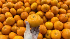 Näin valitset makeat mandariinit kaupasta ulkonäön perusteella