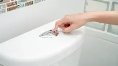 Tiedätkö, miksi nykyaikaisissa wc-istuimissa on kaksi huuhtelupainiketta?